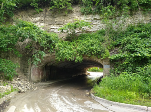 A stone tunnel covered in greenery, with a wet road leading through it, surrounded by lush vegetation.