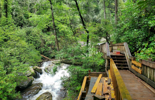 A wooden walkway winds through lush greenery beside a flowing stream in a serene forest setting.