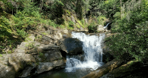 A serene waterfall cascading over rocks, surrounded by lush green foliage and trees.