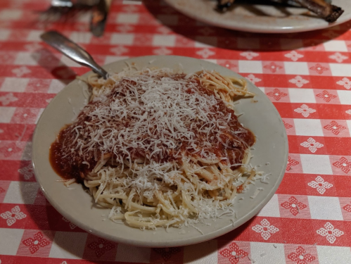 A plate of spaghetti topped with marinara sauce and grated cheese, set on a red and white checkered tablecloth.