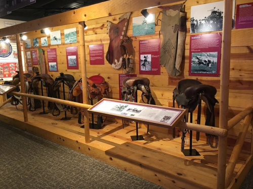 A display of various saddles on a wooden wall, with informational panels and historical photos in a museum setting.
