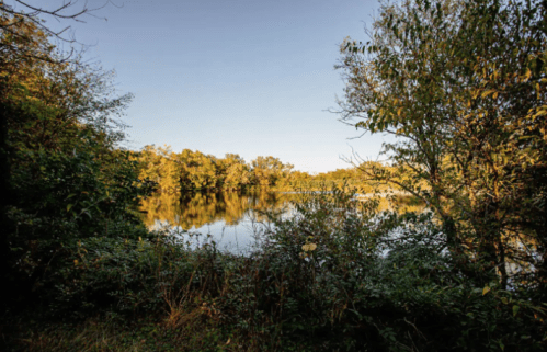 A serene landscape featuring a calm lake surrounded by lush greenery and trees under a clear blue sky.