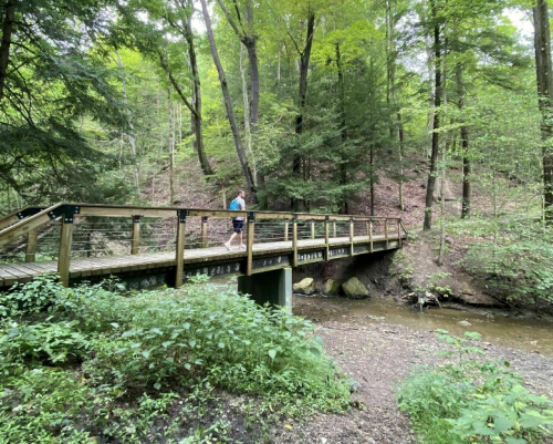 A person walks across a wooden bridge in a lush green forest with trees and a small stream below.