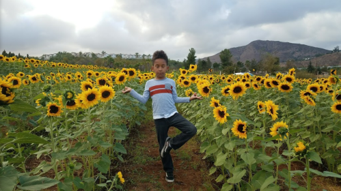 A child stands in a field of sunflowers, balancing on one leg with arms outstretched, against a cloudy sky.