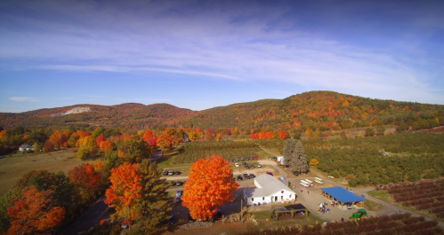 Aerial view of a vibrant autumn landscape with colorful trees, a parking area, and a small building amidst rolling hills.
