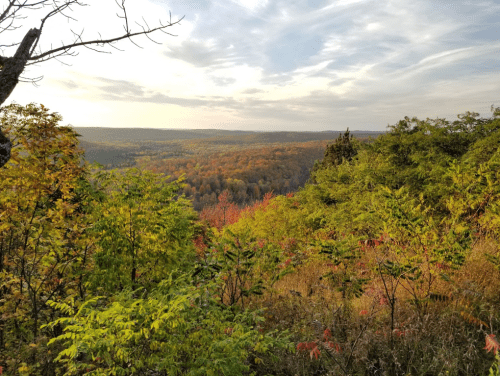 A scenic view of a colorful autumn landscape with trees in vibrant hues and rolling hills under a cloudy sky.