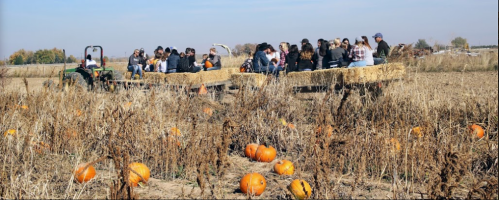 A group of people sitting on a hayride in a pumpkin patch, surrounded by pumpkins and autumn scenery.