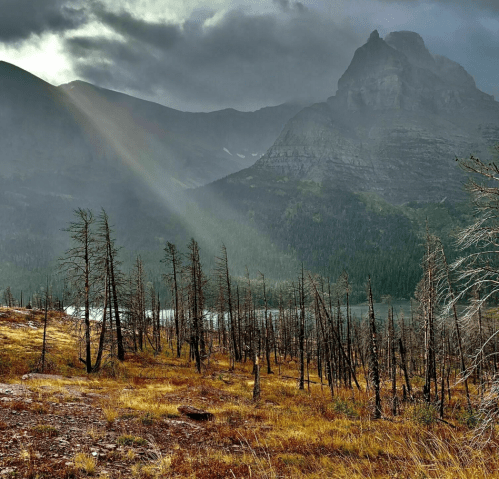 A dramatic landscape featuring bare trees, a mountain, and rays of sunlight breaking through dark clouds.