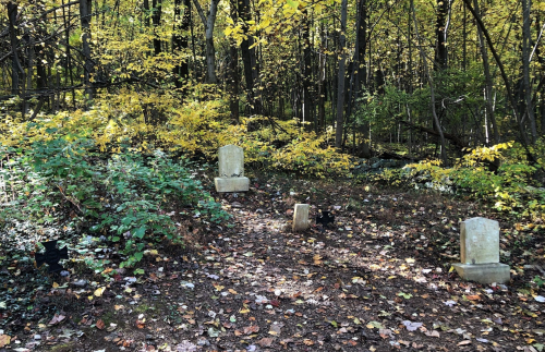 A small, overgrown graveyard in a forest with three weathered headstones surrounded by autumn foliage.