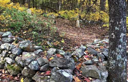 A wooded area with colorful autumn foliage, featuring a path lined with stones and a few visible gravestones.