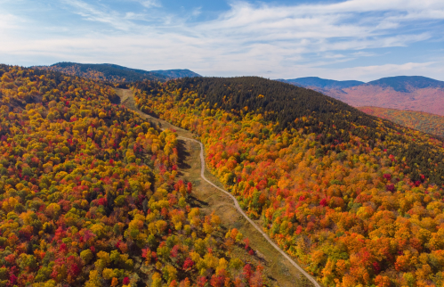Aerial view of vibrant autumn foliage covering rolling hills and a winding dirt path under a clear blue sky.