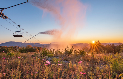 A ski lift at sunset, with snowmaking equipment spraying mist over a field of wildflowers.
