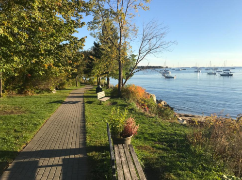 A scenic waterfront path lined with trees, benches, and boats in the distance under a clear blue sky.