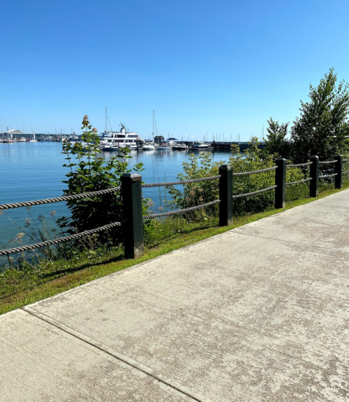 A serene waterfront scene with a clear blue sky, boats docked, and a pathway lined with greenery and a rope fence.