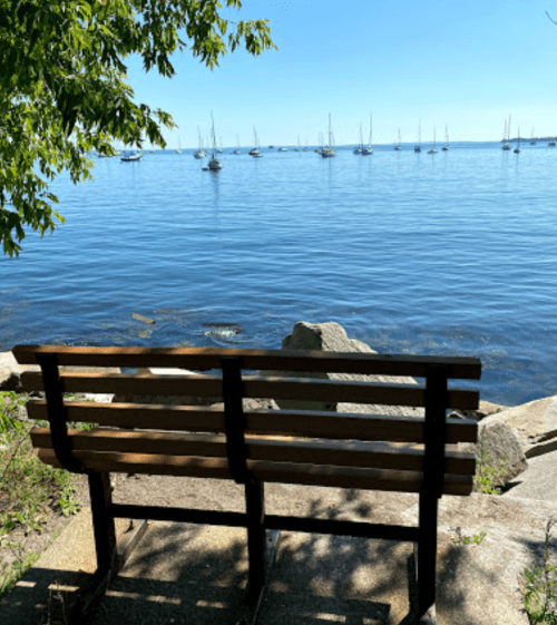 A wooden bench overlooks a calm blue sea with sailboats in the distance under a clear sky.