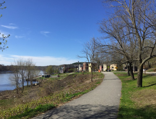 A scenic riverside path lined with trees, leading to colorful buildings under a clear blue sky.