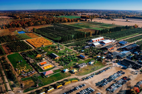 Aerial view of a vibrant farm with orchards, play areas, and a parking lot, surrounded by colorful autumn foliage.
