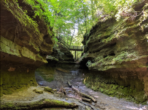 A serene canyon with lush greenery, featuring layered rock formations and a wooden bridge above.