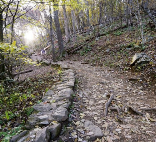 A winding dirt path through a forest, lined with stones and surrounded by trees with autumn leaves.