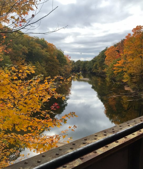 A serene river reflects colorful autumn foliage under a cloudy sky.