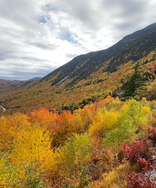 A vibrant autumn landscape with colorful trees in shades of orange, yellow, and red against a mountainous backdrop.