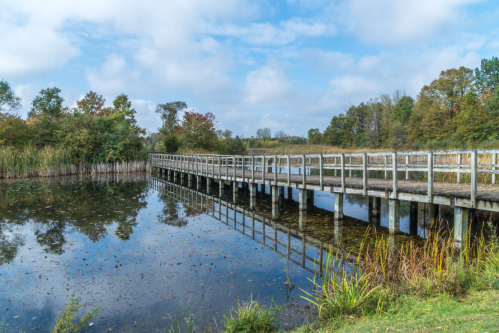 A wooden boardwalk extends over a calm pond, surrounded by lush greenery and trees under a partly cloudy sky.