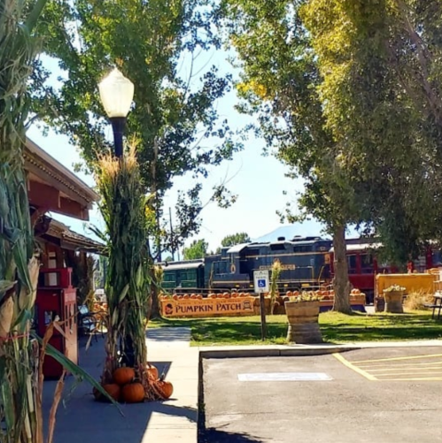 A sunny pumpkin patch with decorative corn stalks, pumpkins, and vintage trains in the background.