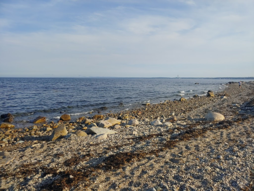 A rocky beach with pebbles and seaweed, overlooking calm waters under a clear sky.