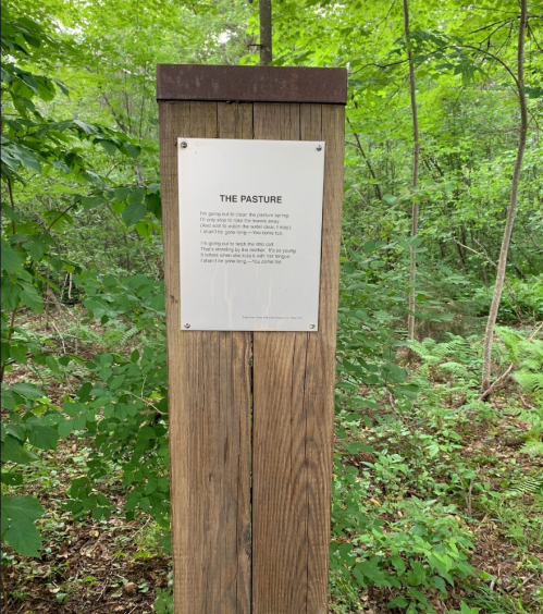 A wooden post in a forest with a metal plaque titled "The Pasture," featuring a poem or text. Green foliage surrounds it.