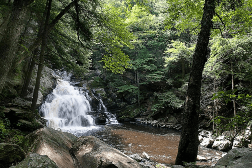 A serene waterfall cascades over rocks, surrounded by lush green trees in a tranquil forest setting.