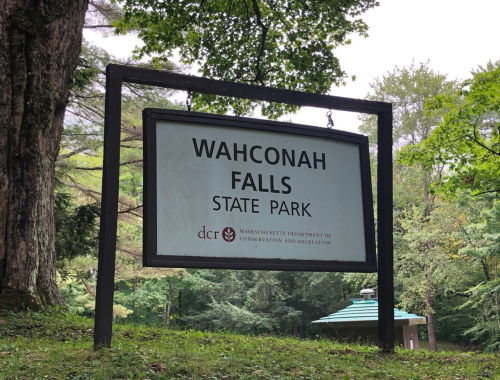 Sign for Wahconah Falls State Park, surrounded by trees, indicating the park's name and the Massachusetts DCR logo.