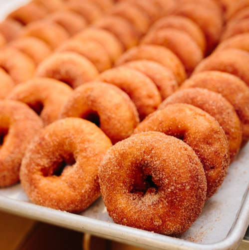 A tray of freshly made, cinnamon-sugar coated donuts arranged in neat rows.