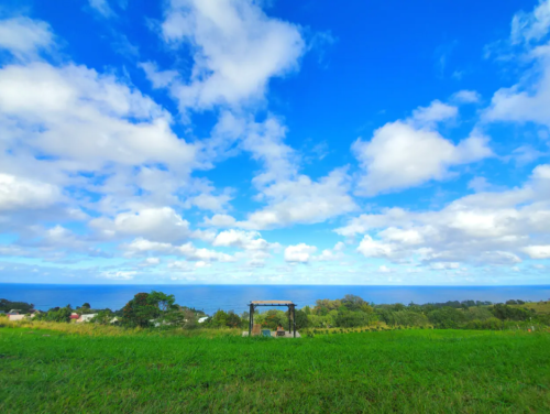 A scenic view of a grassy field under a blue sky with clouds, overlooking the ocean in the distance.