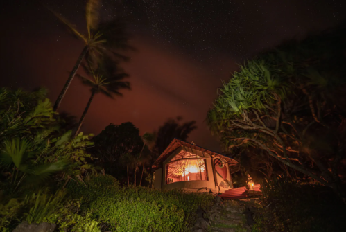 A cozy cabin surrounded by lush greenery under a starry night sky, with warm light glowing from the windows.