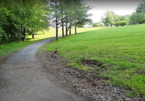 A winding path through a green park, lined with trees and a grassy area on the right.