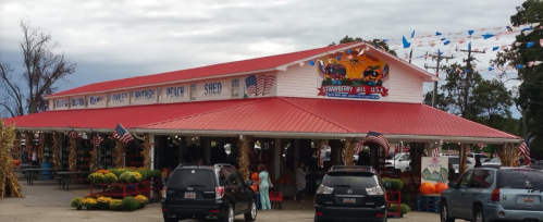 A red-roofed market with flags, pumpkins, and people shopping, set against a cloudy sky.