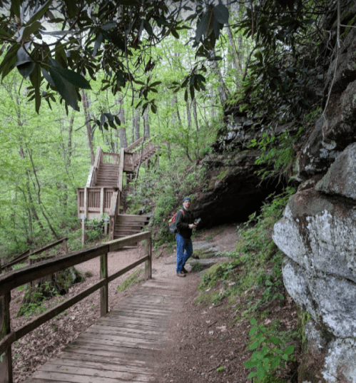 A person stands on a wooded path beside a rocky outcrop, with wooden stairs visible in the background. Lush greenery surrounds them.