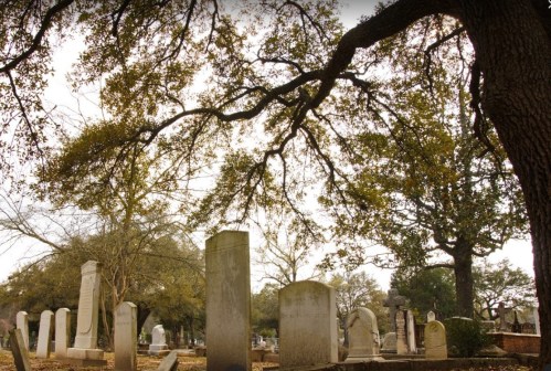 A serene cemetery scene with gravestones under a large tree, surrounded by bare branches and a cloudy sky.