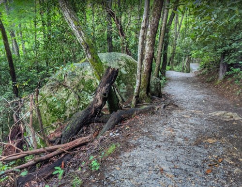 A winding gravel path through a lush green forest, flanked by large rocks and trees.