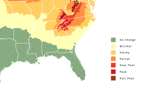 Map showing the status of fall foliage across the southeastern U.S., with color-coded regions indicating peak times.