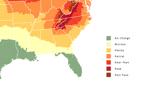 Map showing fall foliage status across the southeastern U.S., with color-coded regions indicating varying levels of change.
