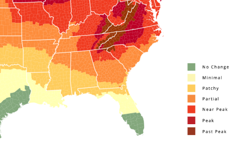 Map of the southeastern U.S. showing fall foliage color change, with a gradient from green (no change) to red (peak).