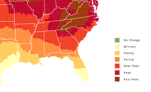 Map of the southeastern U.S. showing color-coded regions for foliage change, from no change to past peak.