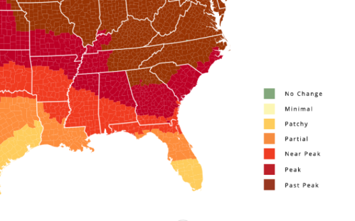 Map of the southeastern U.S. showing fall foliage color change, with regions categorized from "No Change" to "Peak."