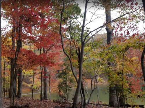 A serene lake surrounded by trees with vibrant autumn leaves in shades of red, orange, and yellow.