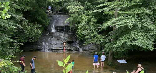 A group of people enjoying a natural waterfall and pool surrounded by lush greenery.