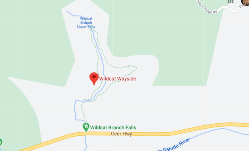 Map showing the location of Wildcat Wayside near Wildcat Branch Falls, with nearby roads and trails indicated.