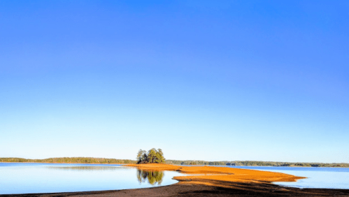 A serene lake scene with a sandy shore, calm water, and a small island surrounded by trees under a clear blue sky.