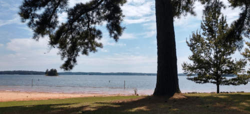 A serene lakeside view with trees, sandy shore, and calm water under a blue sky with scattered clouds.