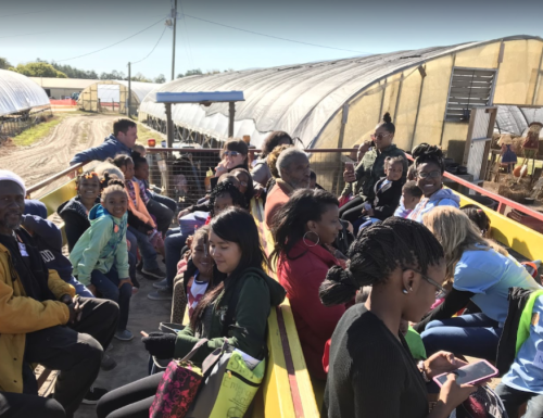A diverse group of people sitting in a trailer, enjoying a farm tour on a sunny day. Greenhouses are in the background.